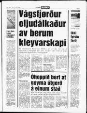 Síða 3
