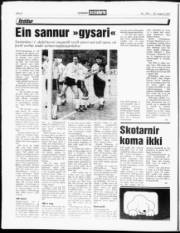 Síða 8