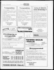 Síða 19