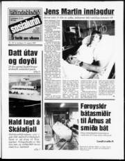 Síða 1