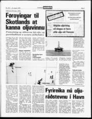 Síða 3