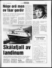 Síða 7