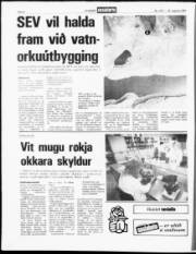 Síða 8