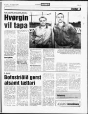 Síða 13