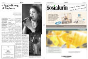 Síða 2