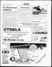 Síða 17