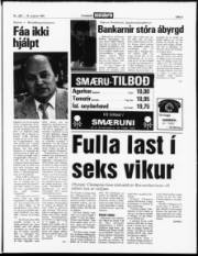 Síða 3