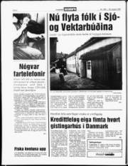 Síða 4