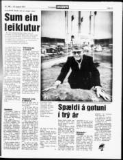 Síða 13