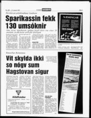 Síða 3