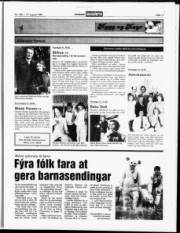 Síða 11