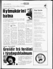 Síða 17
