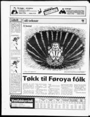 Síða 24