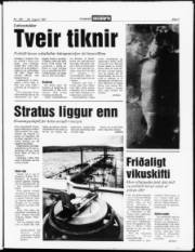 Síða 3