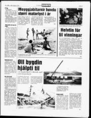 Síða 5