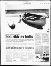 Síða 6