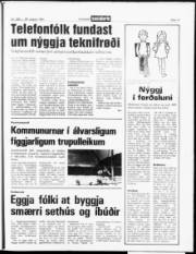 Síða 17