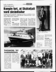 Síða 3