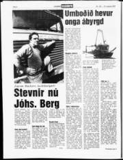 Síða 6