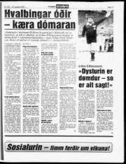 Síða 11