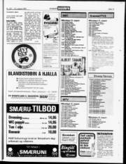 Síða 15