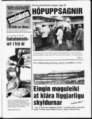 Síða 1