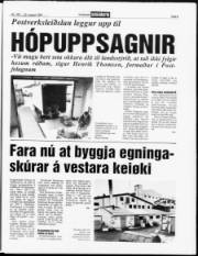 Síða 5