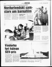 Síða 6
