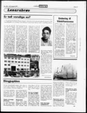 Síða 13