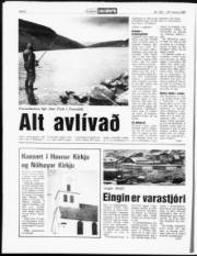 Síða 6