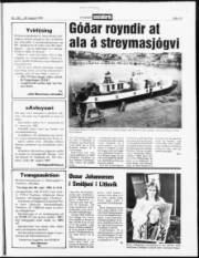 Síða 13
