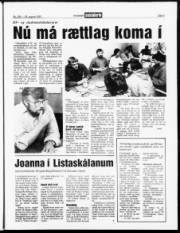 Síða 3