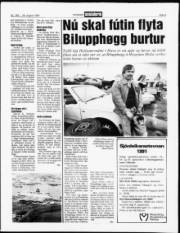 Síða 5