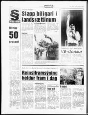 Síða 6