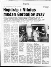 Síða 12