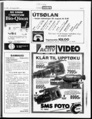 Síða 17