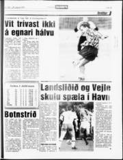 Síða 19