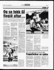 Síða 11