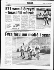 Síða 14