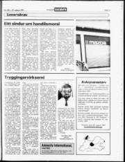 Síða 17