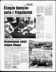 Síða 3