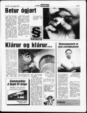 Síða 7