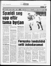 Síða 13