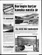 Síða 1