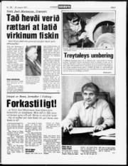 Síða 5