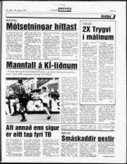 Síða 13