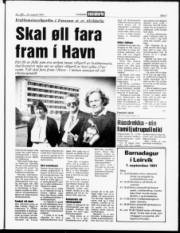 Síða 3