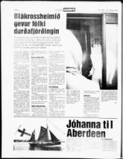 Síða 6