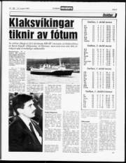 Síða 9