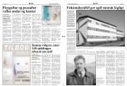Síða 3